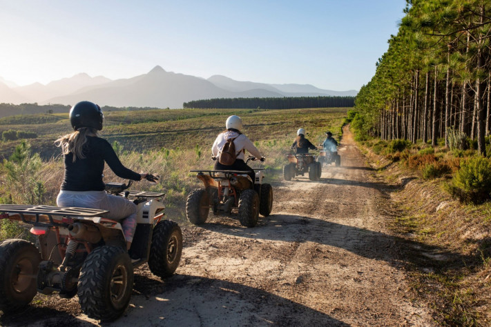 Forest scenery and lodge grounds at Storms River